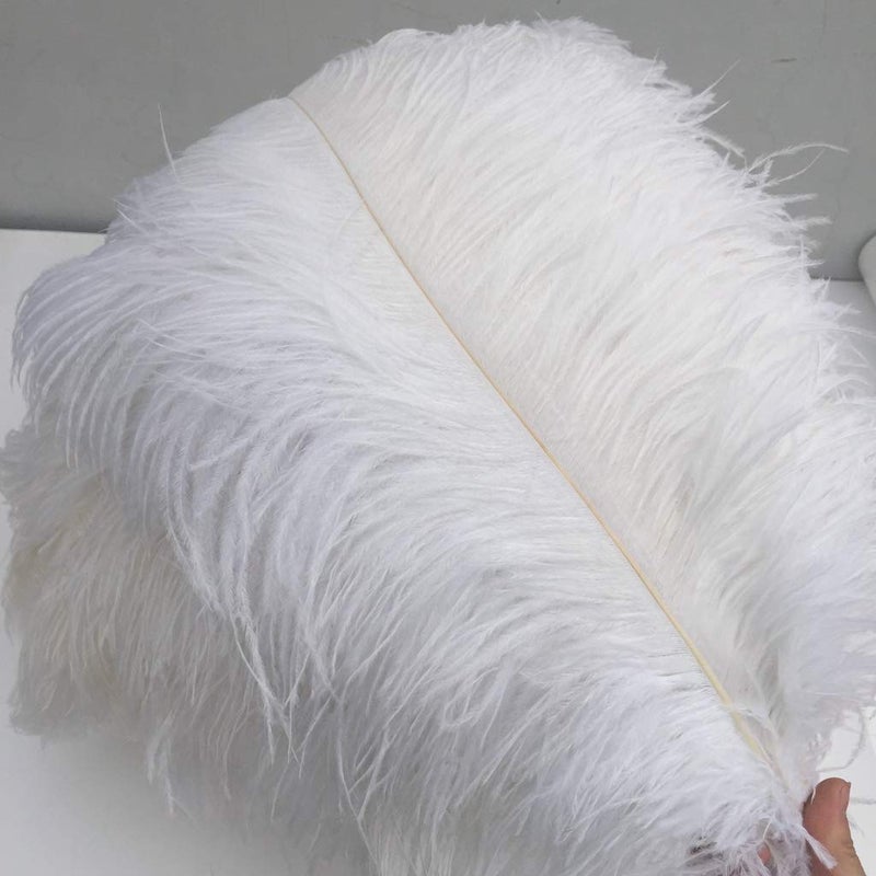 Shekyeon White 16-18inch Ostrich Feathers DIY Craft Large Feather for Wedding Party Centerpicecs Flower Arrangement and Easter Gatsbi Decortion Pack of 10 - Image 1